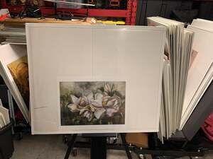 Dawning Magnolias by Meng Canadian Art Prints 1502 Art Print